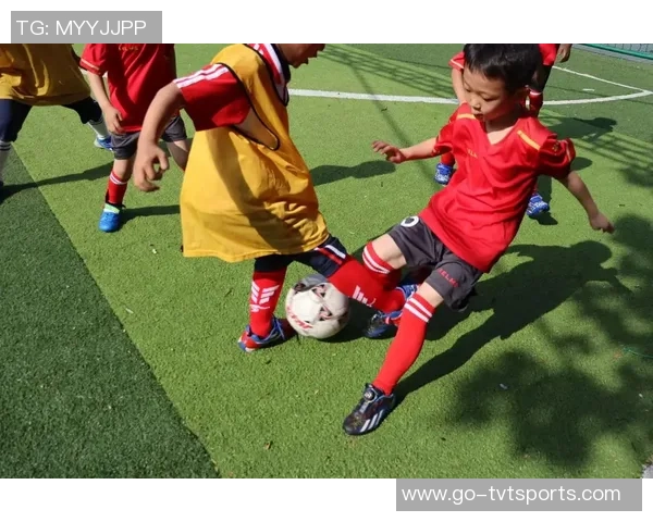 一起足球吧让我们在绿茵场上挥洒汗水共享激情与友谊的美好时光